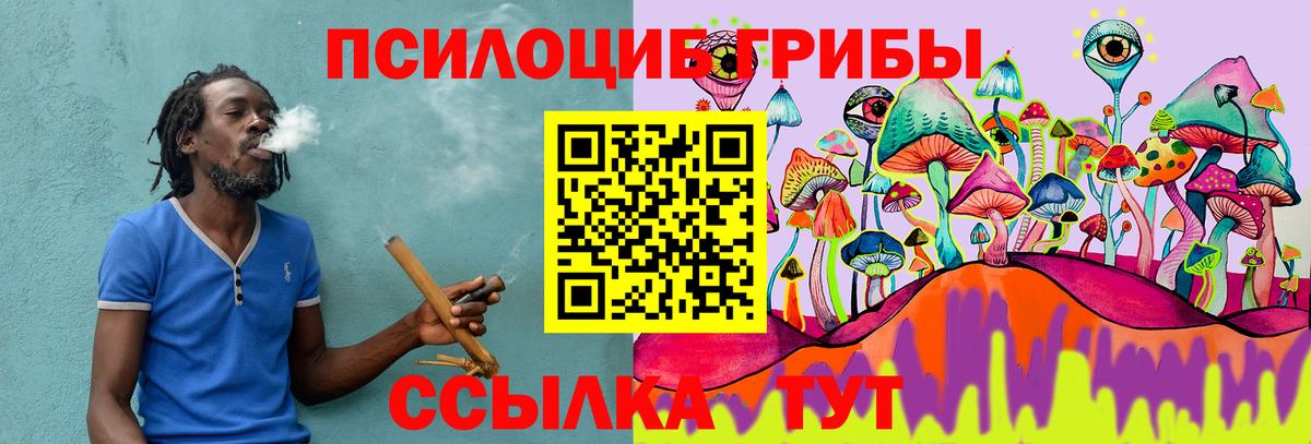 Псилоцибиновые грибы Cubensis  Псилоцибиновые грибы мухоморы  Гуково  Вход с VPN 