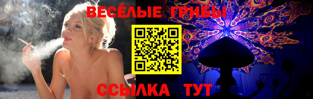 Галлюциногенные грибы мицелий Гуково